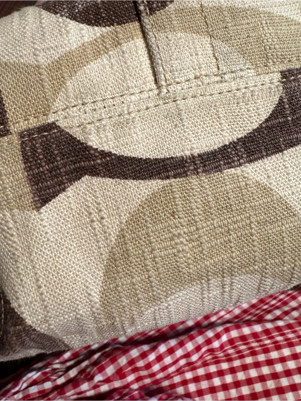 coach carly bag